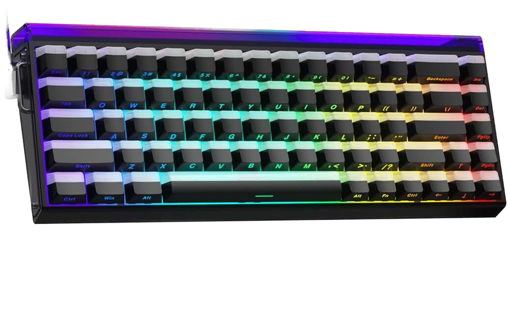 AULA Hero 68 HE 60% Gaming Keyboard Wired, Hall Effect Magnetic Switch Keyboard with 8K Hz Polling Rate, Side Printed PB
