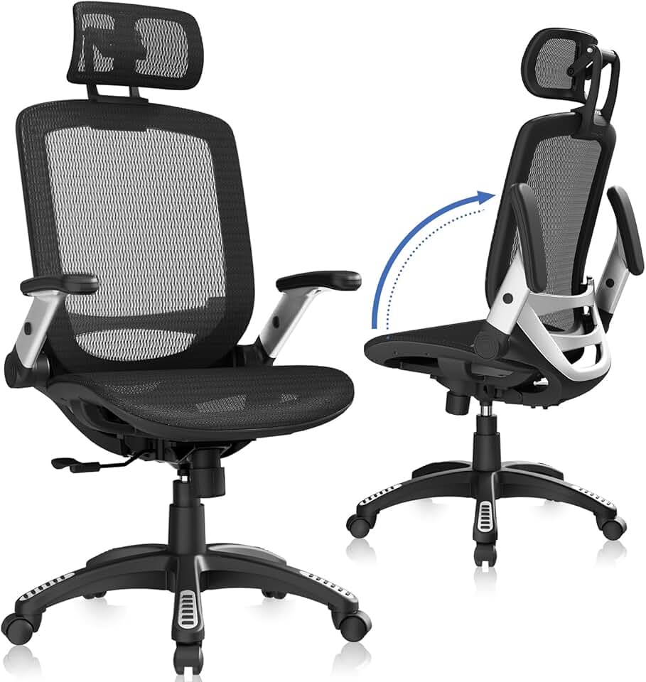 GABRYLLY Ergonomic Chair
