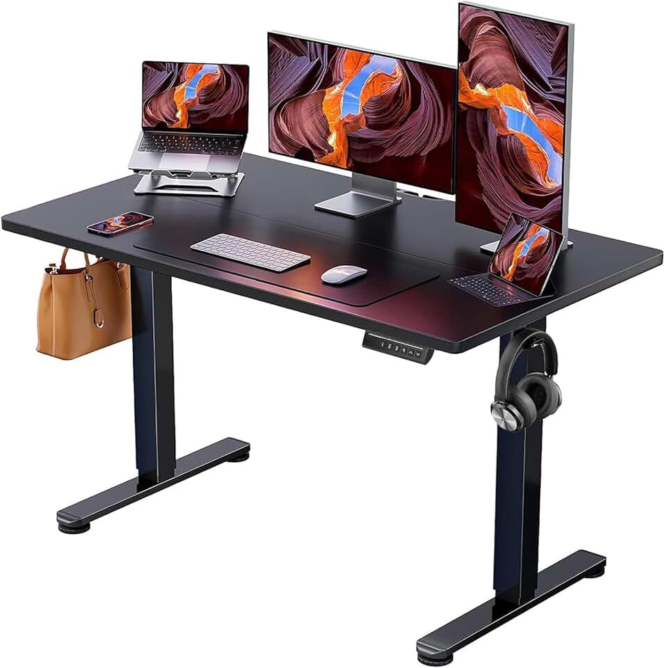ErGear Height Adjustable Electric Standing Desk, 48 x 24 Inches Sit Stand up Desk, Memory Computer Home Office Desk, Bla