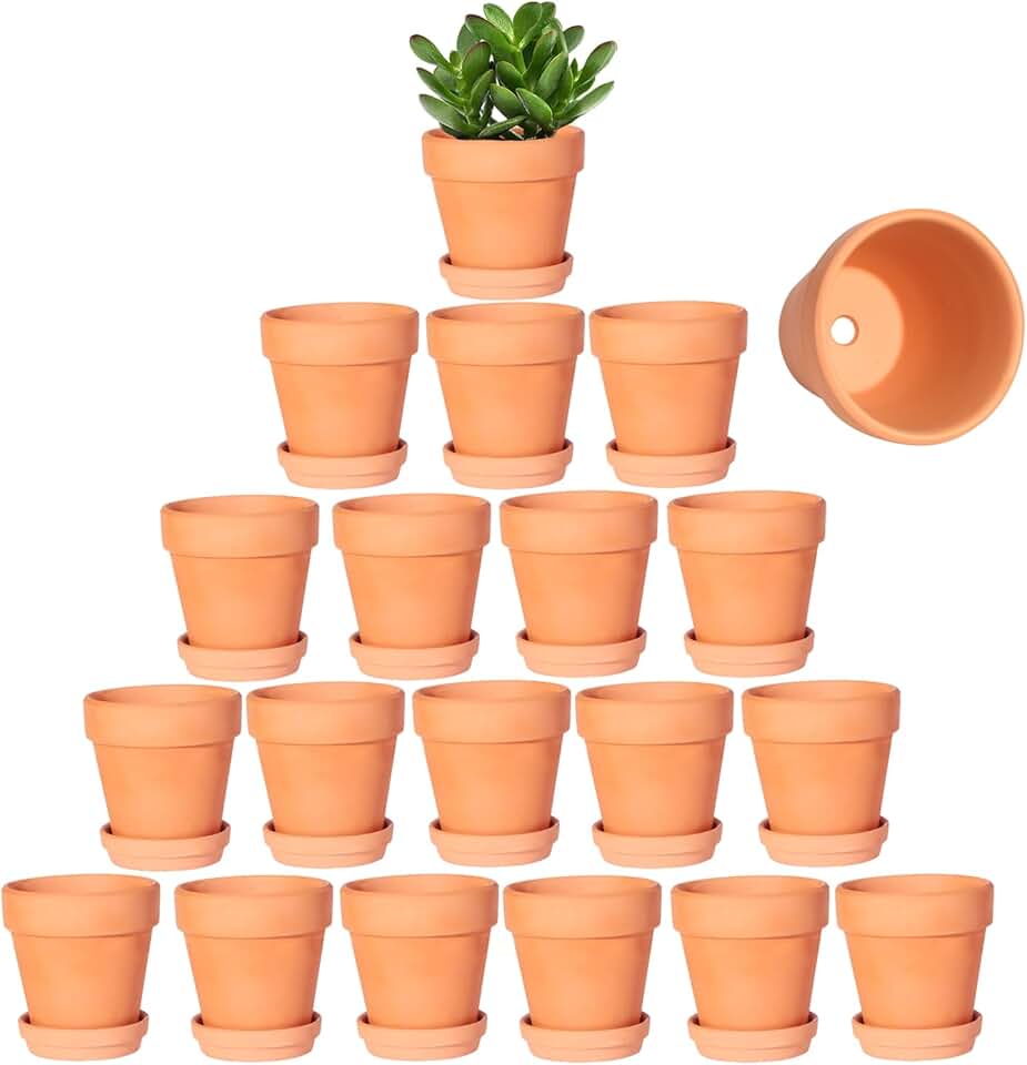 3 Inch Terracotta Pots