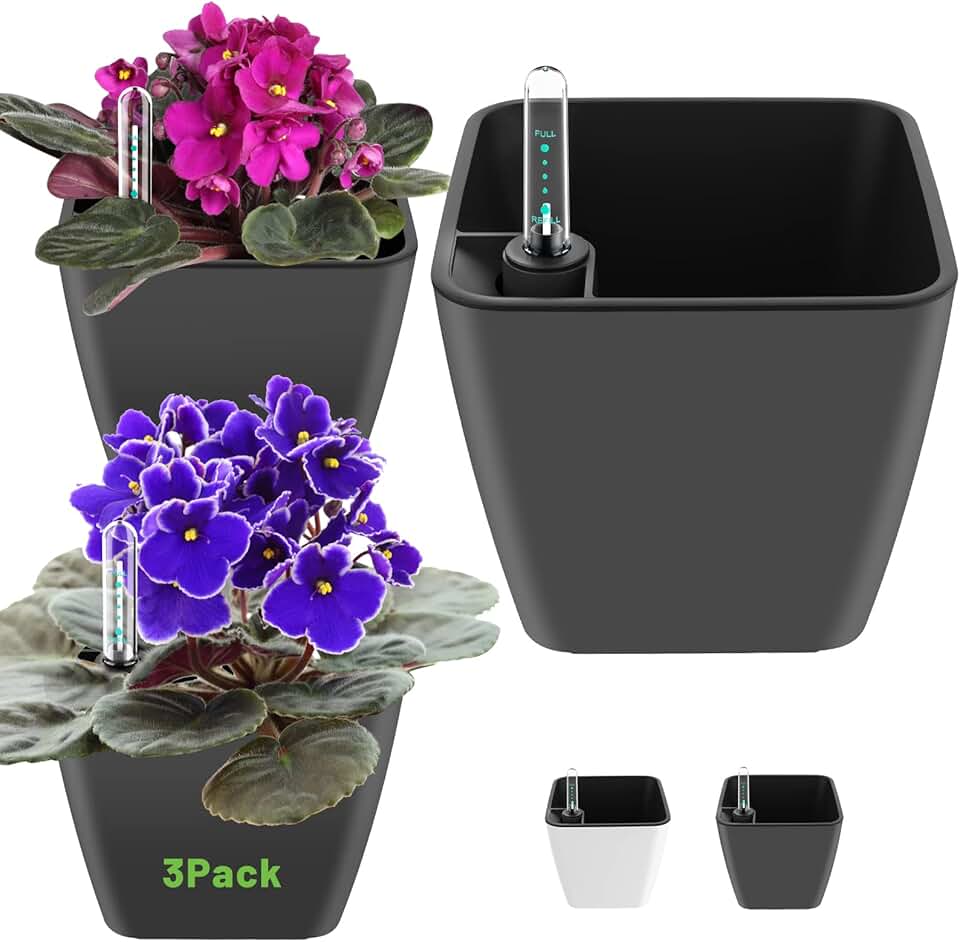 Self Watering Planters