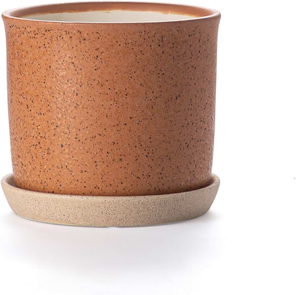 6 Inch Plant Pot