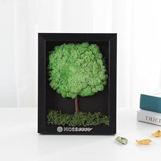 100 Natural Moss Art Wall