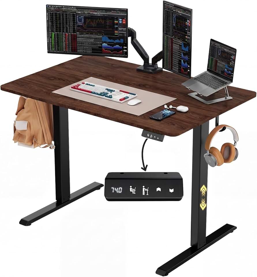 Electric Standing Desk 48"